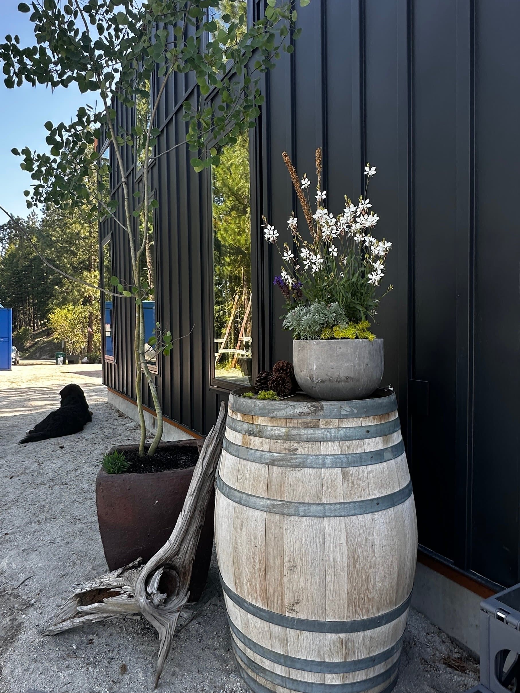 Montera modular home exterior — vertical view of entry and covered porch